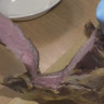 Дегидратор для сушки и вяления мяса 
